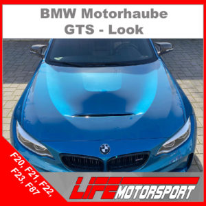 GTS-Motorhaube-BMW_M2_03